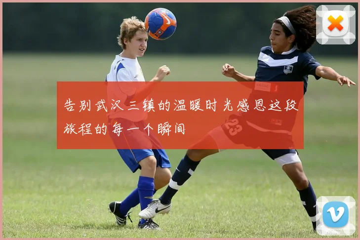 告别武汉三镇的温暖时光感恩这段旅程的每一个瞬间