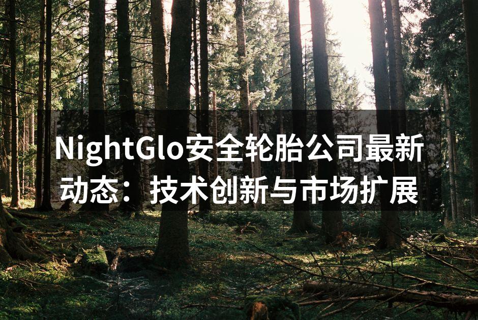 夜光安全轮胎展览现场