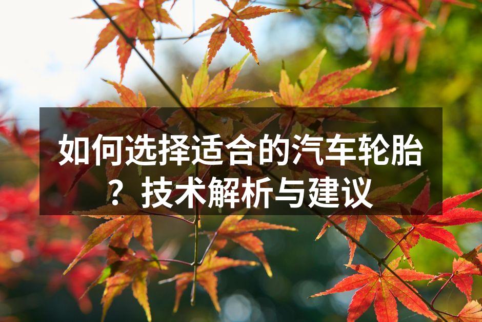 汽车轮胎的多种类型