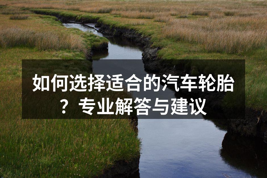 专业轮胎选购指南
